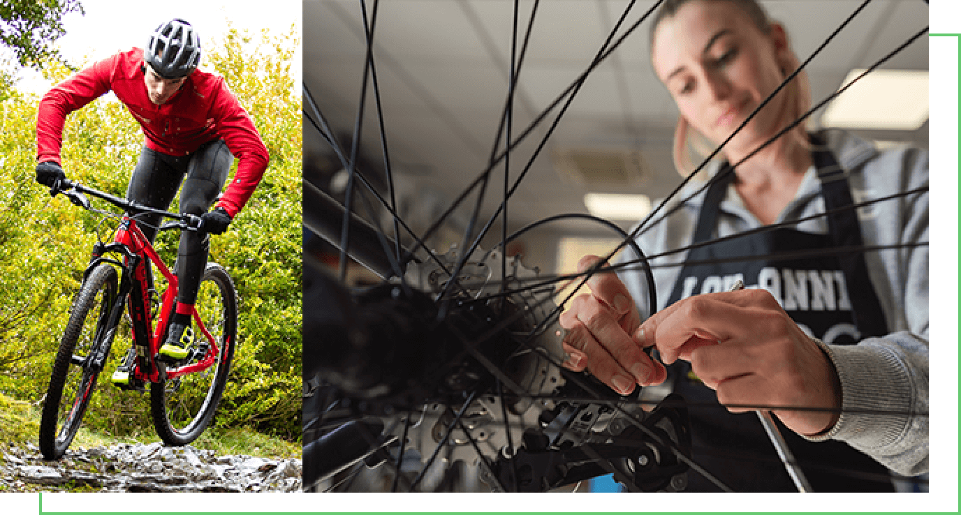 reparador de bicicletas